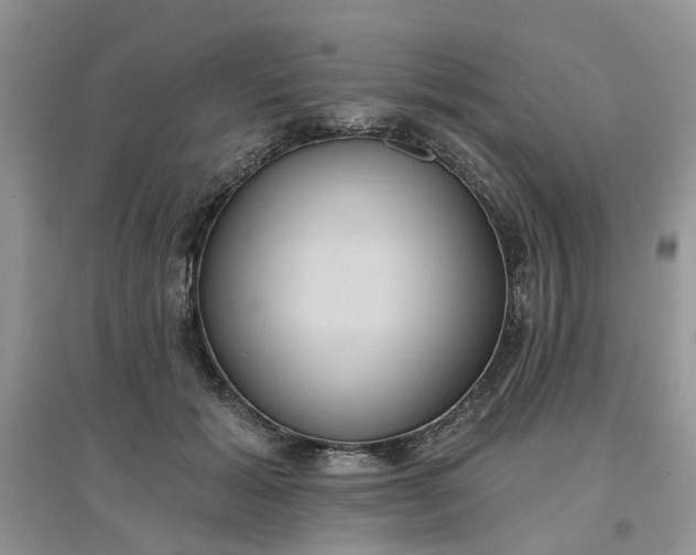 X0000097650605200803142111