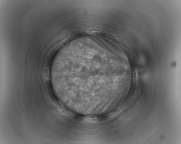 X0000097650606200803142111