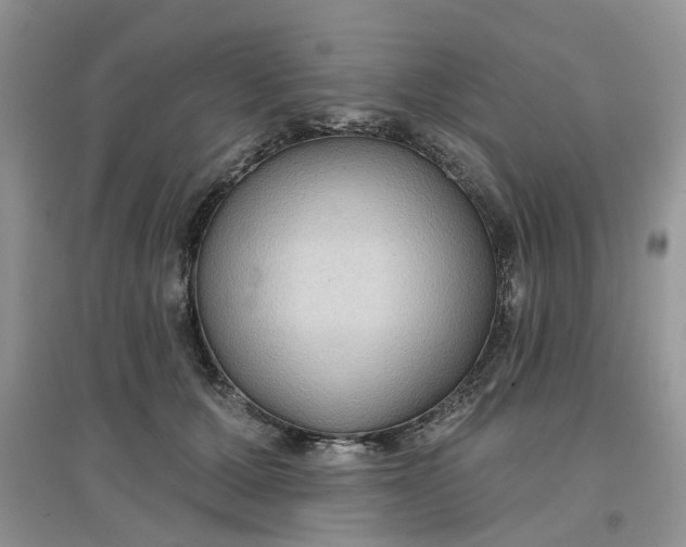 X0000097650607200803142111