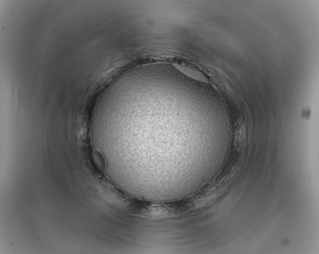 X0000097650608200803142111