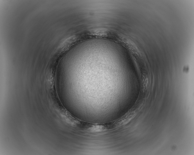 X0000097650609200803142111