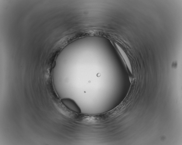 X0000097650611200803142111