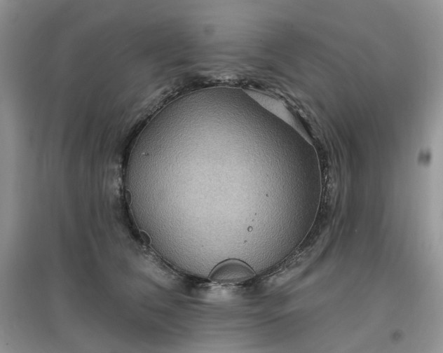 X0000097650612200803142111