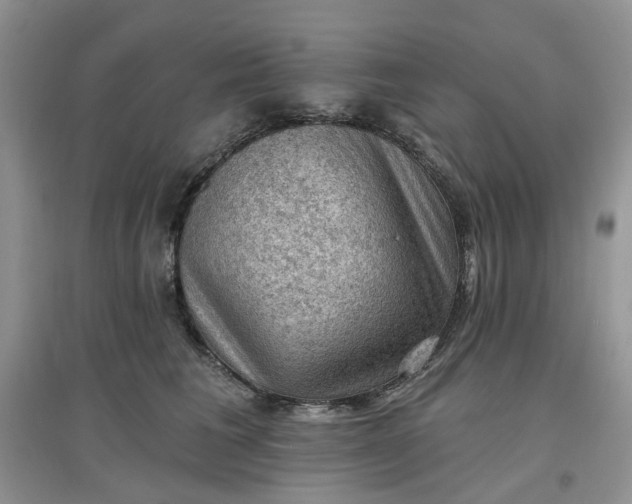 X0000097650613200803142111