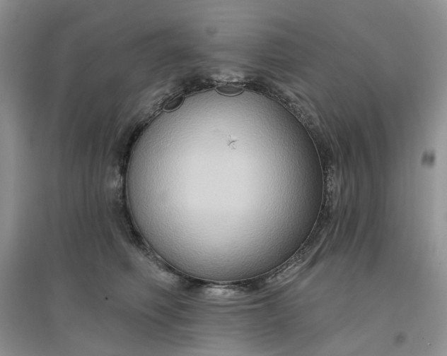 X0000097650614200803142111