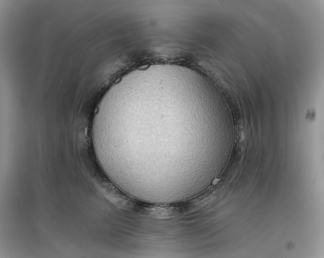 X0000097650615200803142111