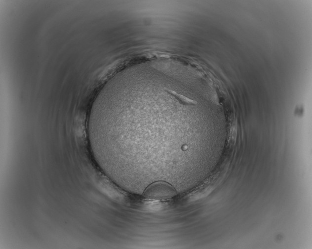 X0000097650616200803142111