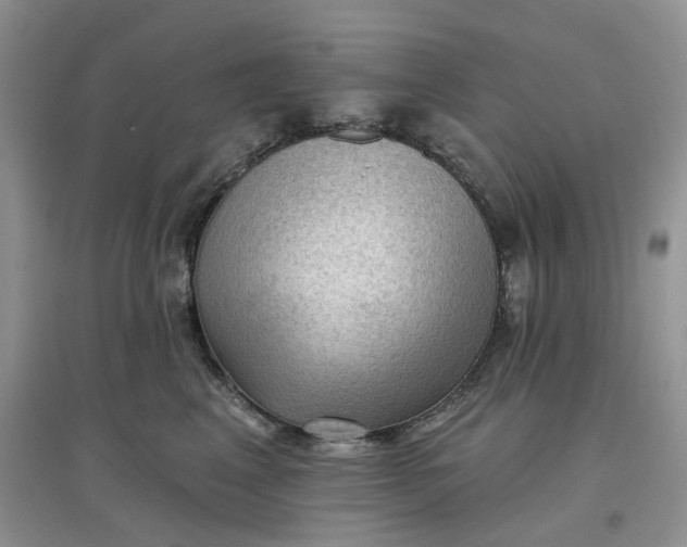 X0000097650617200803142111