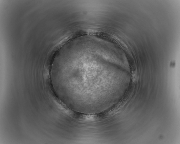 X0000097650618200803142111