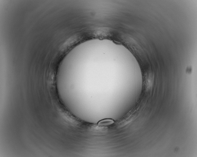 X0000097650619200803142111