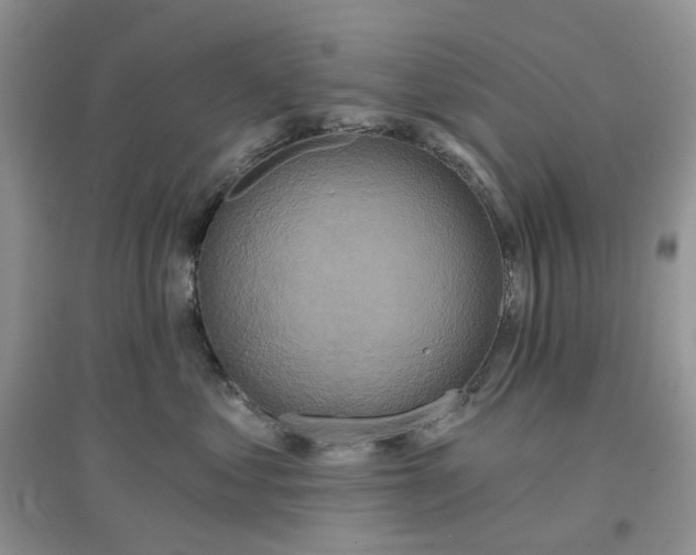 X0000097650621200803142111