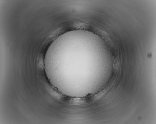 X0000097650622200803142111