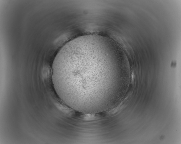 X0000097650623200803142111