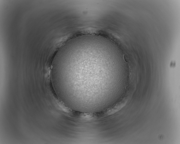 X0000097650624200803142111