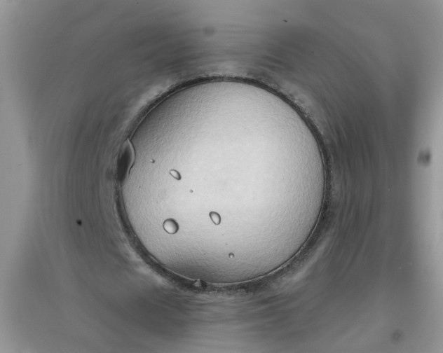 X0000097650625200803142110