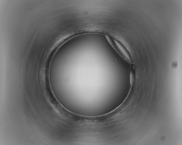 X0000097650626200803142110