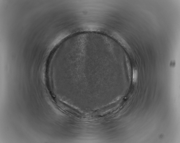 X0000097650627200803142110