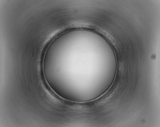 X0000097650629200803142110