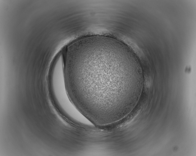 X0000097650630200803142110