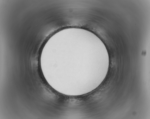 X0000097650632200803142110