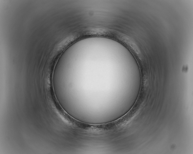 X0000097650633200803142110