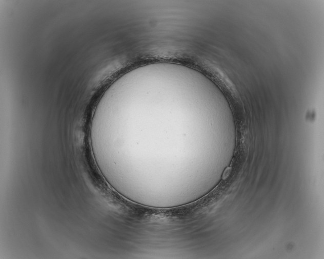 X0000097650635200803142110