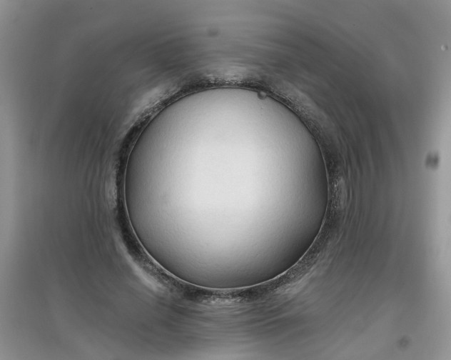 X0000097650638200803142110