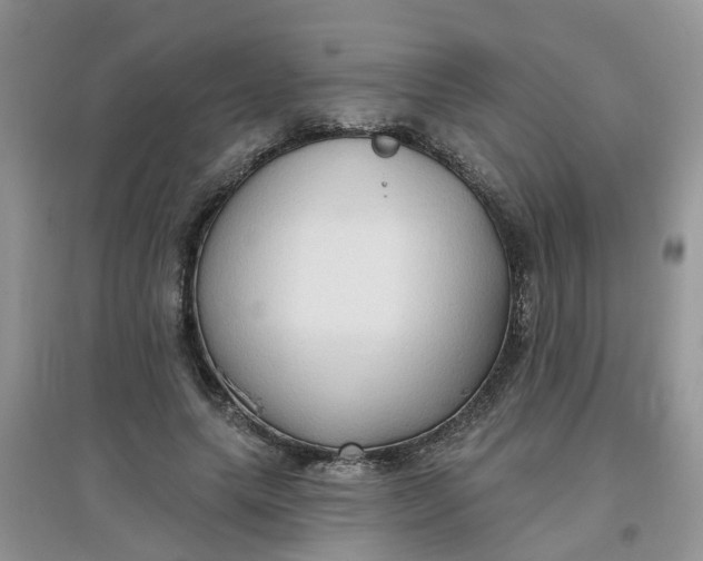 X0000097650639200803142110