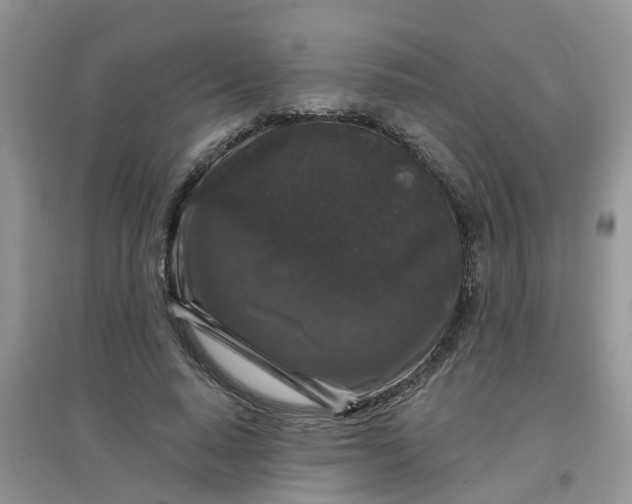 X0000097650640200803142110