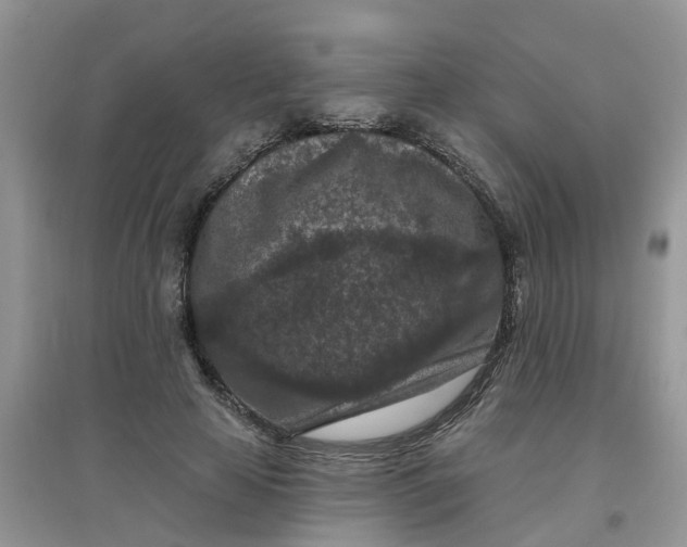 X0000097650641200803142110