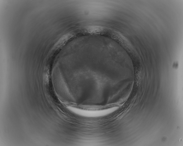 X0000097650644200803142110