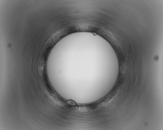 X0000097650645200803142110