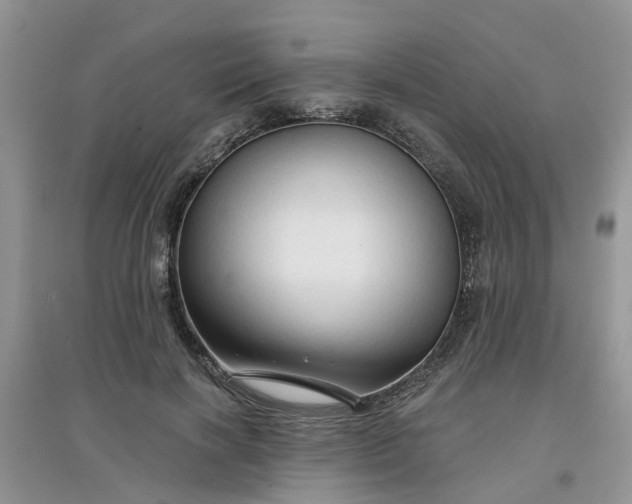 X0000097650646200803142111