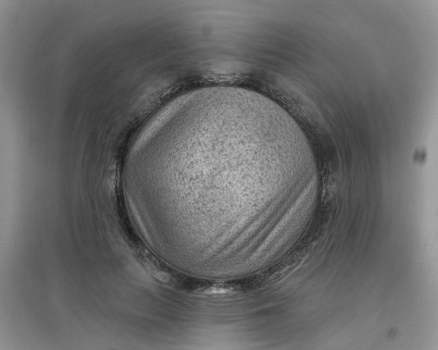 X0000097650647200803142111