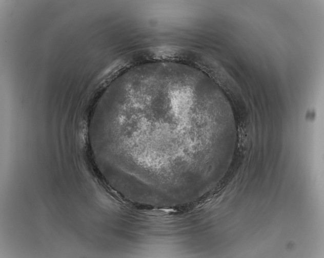 X0000097650648200803142111