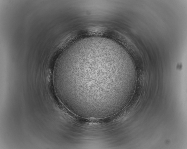 X0000097650649200803142111