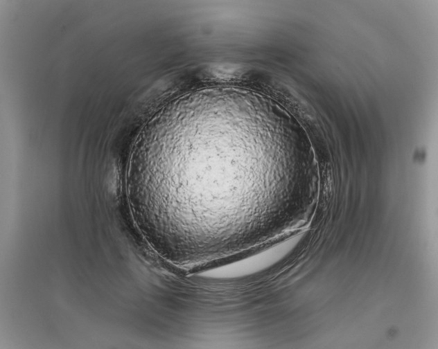 X0000097650651200803142111