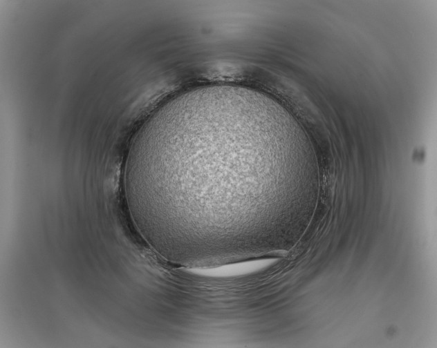 X0000097650652200803142111