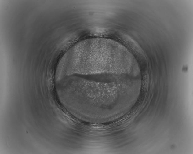 X0000097650653200803142111