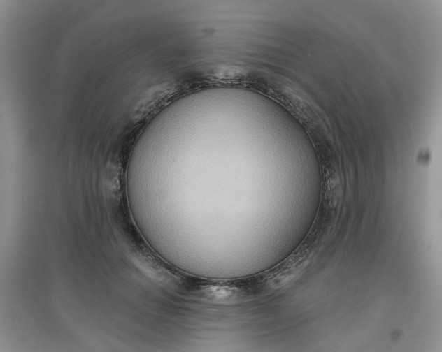 X0000097650654200803142111