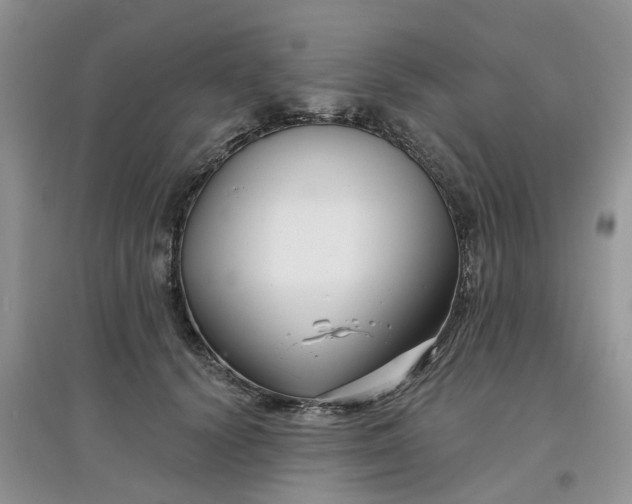 X0000097650656200803142111