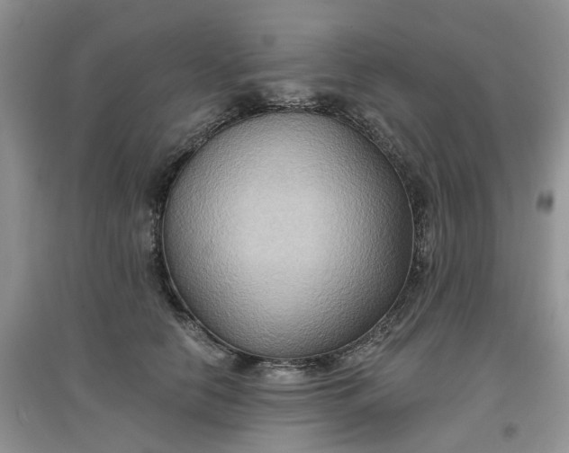 X0000097650658200803142111