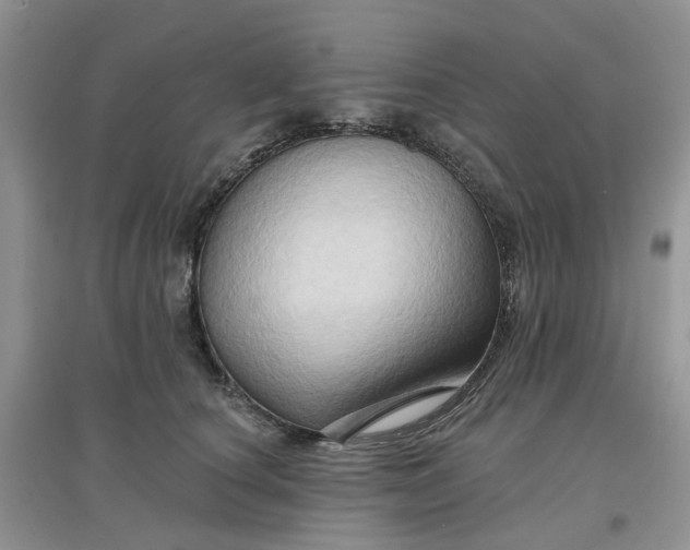 X0000097650660200803142111