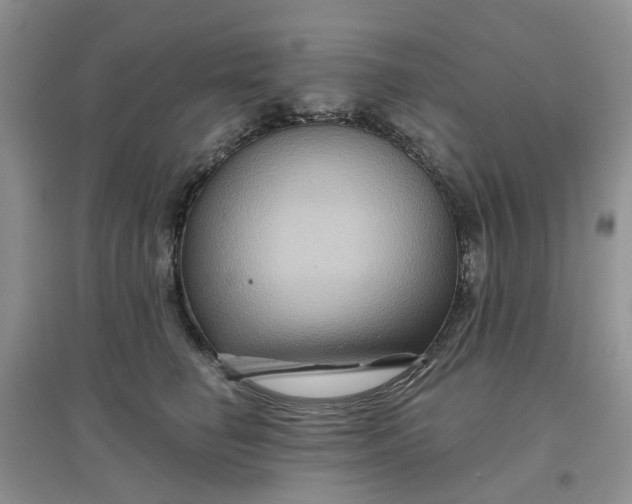 X0000097650662200803142111