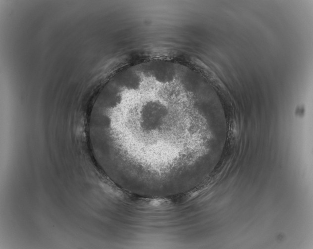 X0000097650663200803142111