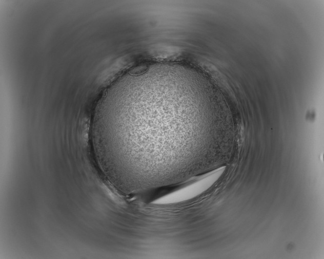 X0000097650664200803142111