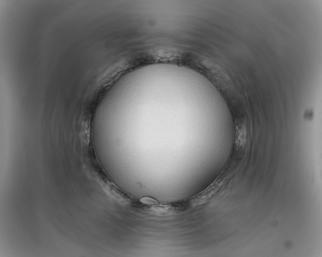 X0000097650666200803142111