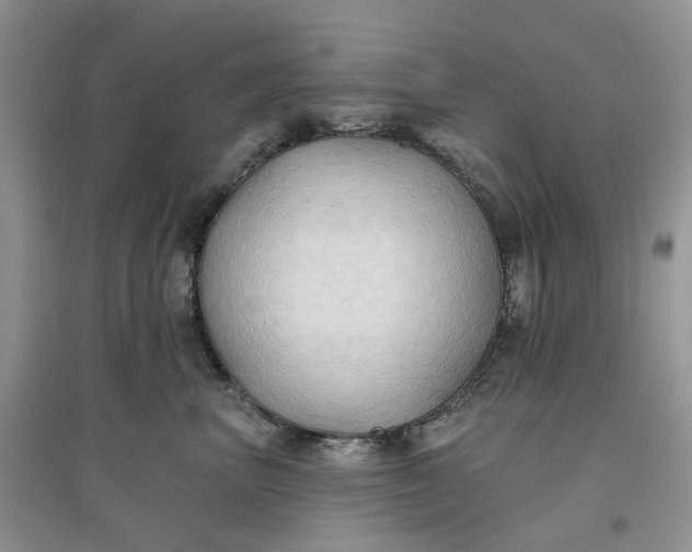 X0000097650667200803142111