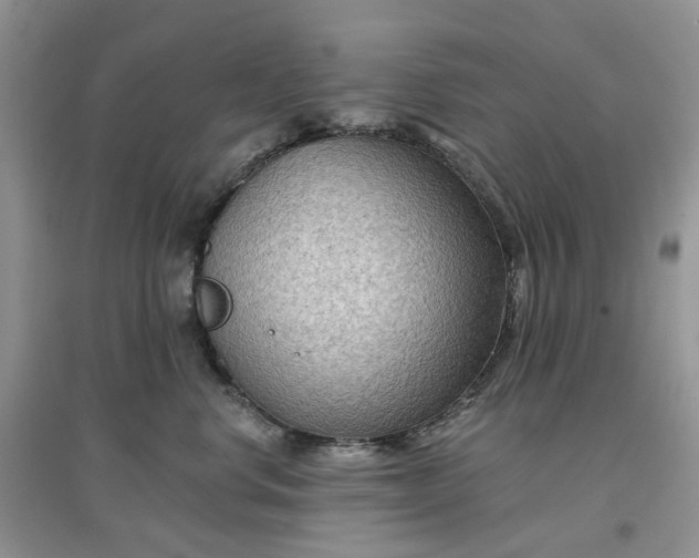 X0000097650668200803142111