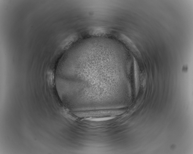 X0000097650669200803142111